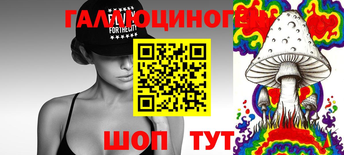 Псилоцибиновые грибы GOLDEN TEACHER  Вход с VPN  Орехово-Зуево 